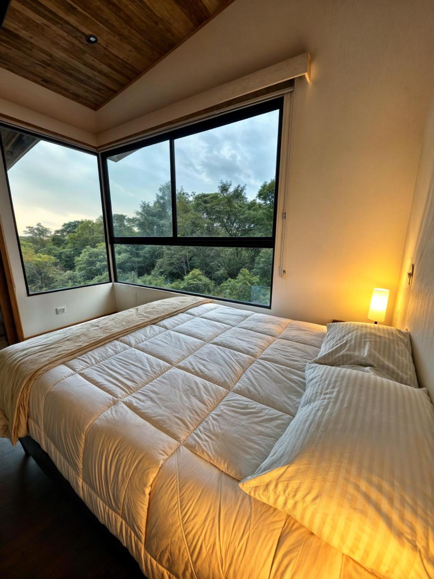Moon Forest Apartments Monteverde Zewnętrze zdjęcie