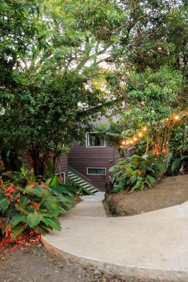 Moon Forest Apartments Monteverde Zewnętrze zdjęcie
