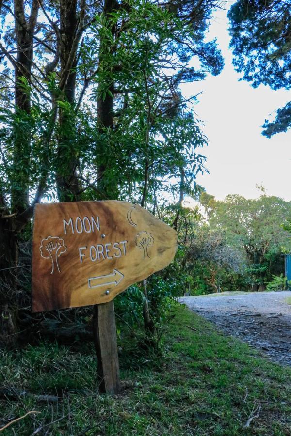 Moon Forest Apartments Monteverde Zewnętrze zdjęcie