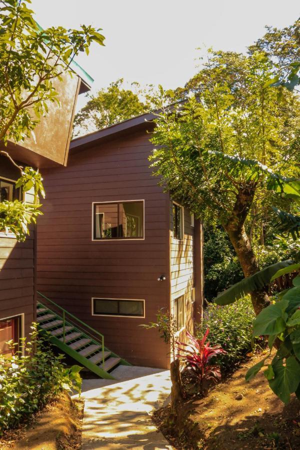 Moon Forest Apartments Monteverde Zewnętrze zdjęcie