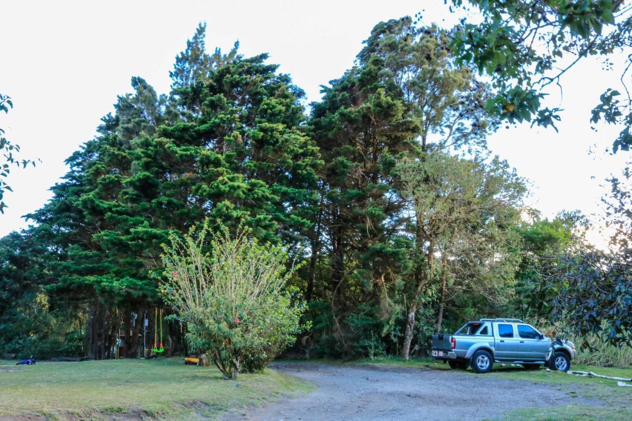 Moon Forest Apartments Monteverde Zewnętrze zdjęcie