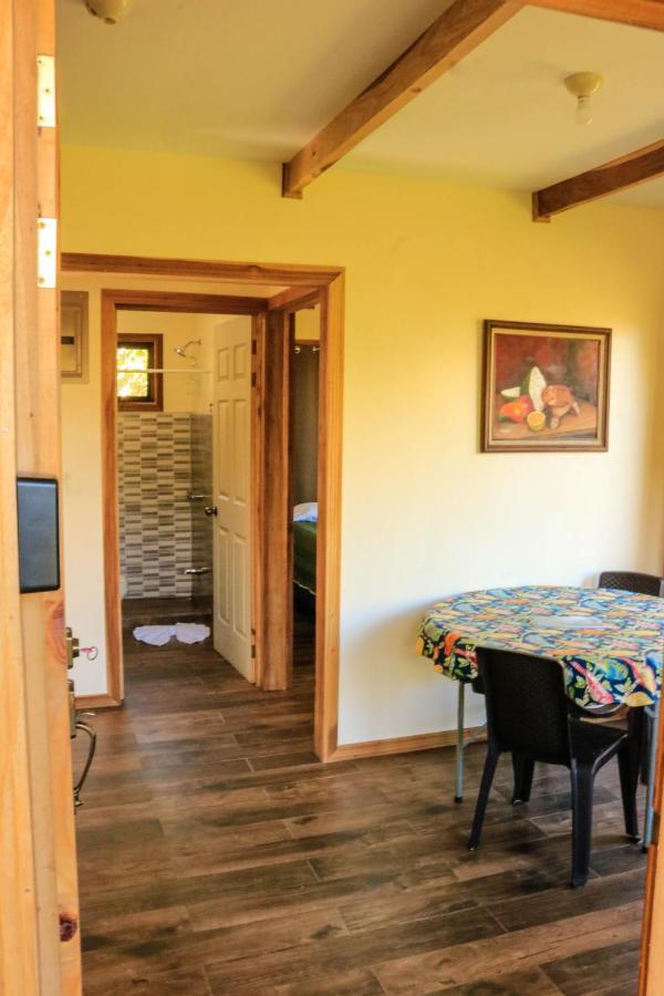 Moon Forest Apartments Monteverde Zewnętrze zdjęcie