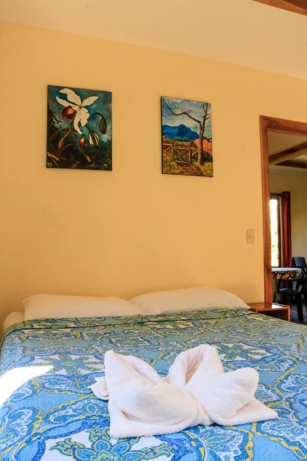 Moon Forest Apartments Monteverde Zewnętrze zdjęcie