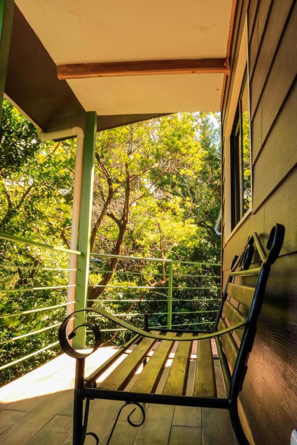Moon Forest Apartments Monteverde Zewnętrze zdjęcie