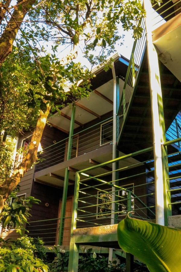 Moon Forest Apartments Monteverde Zewnętrze zdjęcie