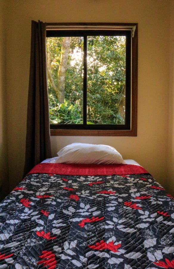 Moon Forest Apartments Monteverde Zewnętrze zdjęcie
